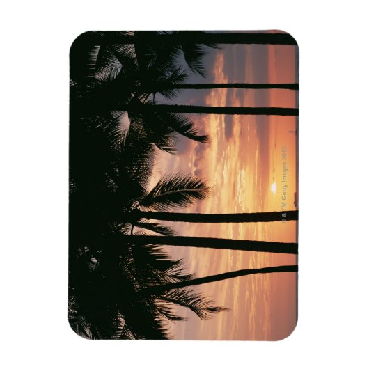 Palmboom 3 magneet (Verticaal)