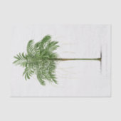 palmboom | Areca (Linospadix) Monostachya Tissuepapier (Voorkant)