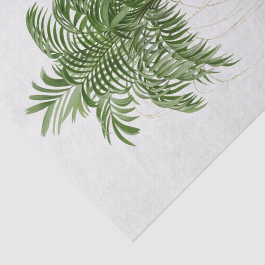 palmboom | Areca (Linospadix) Monostachya Tissuepapier (Detail)