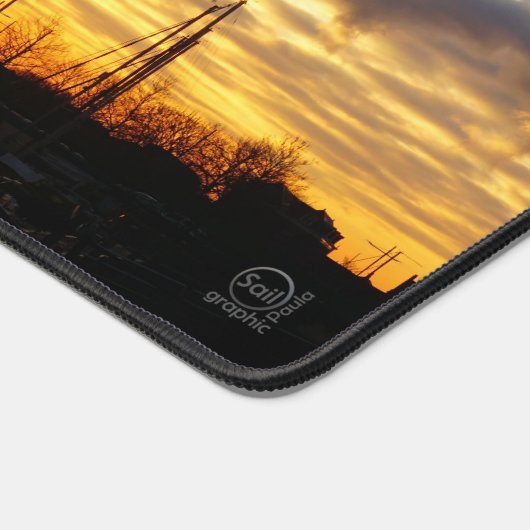 Palmboom bij haven. bureaumat (Hoek)