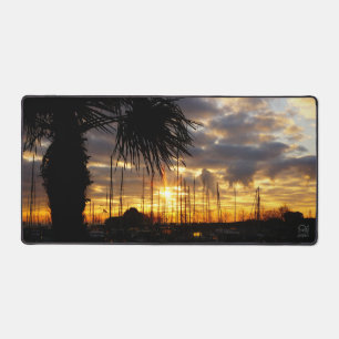 Palmboom bij haven. bureaumat