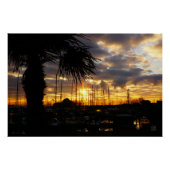 Palmboom bij haven. perfect poster (Voorkant)