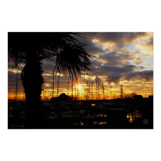 Palmboom bij haven. perfect poster (Voorkant)