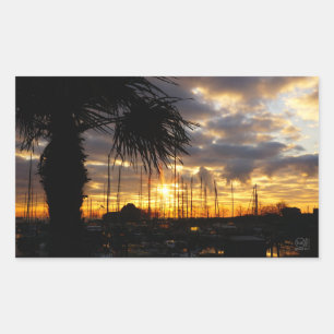 Palmboom bij haven. rechthoekige sticker