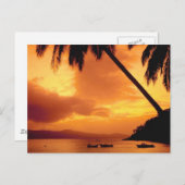 Palmboom boven water briefkaart (Voorkant / Achterkant)