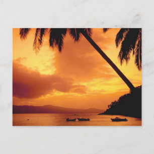 Palmboom boven water briefkaart