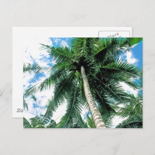 Palmboom Briefkaart (Voorkant / Achterkant)
