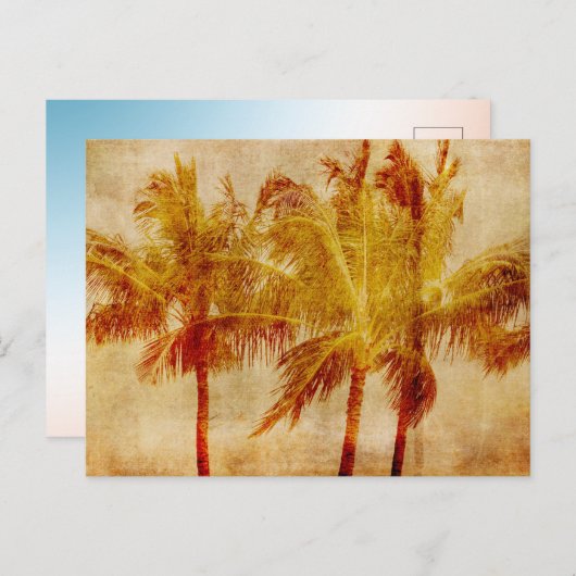 Palmboom briefkaart (Voorkant / Achterkant)