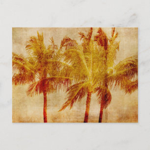 Palmboom briefkaart
