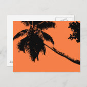 Palmboom Briefkaart (Voorkant / Achterkant)