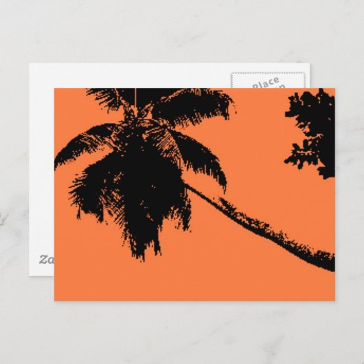 Palmboom Briefkaart (Voorkant / Achterkant)