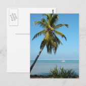 Palmboom - Briefkaart (Voorkant / Achterkant)