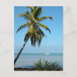 Palmboom - Briefkaart