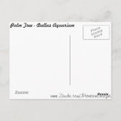 Palmboom Briefkaart (Achterkant)