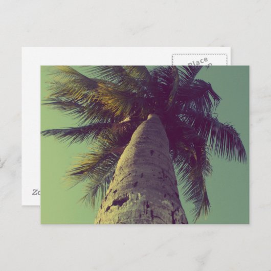 Palmboom Briefkaart (Voorkant / Achterkant)