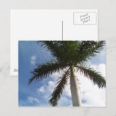 Palmboom Briefkaart (Voorkant / Achterkant)