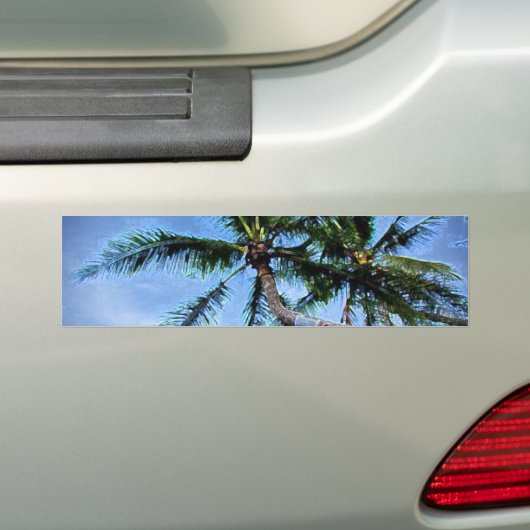 Palmboom Bumpersticker (Op auto)