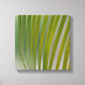 Palmboom Canvas Afdruk (Voorkant)