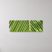 Palmboom Canvas Afdruk (Voorkant)