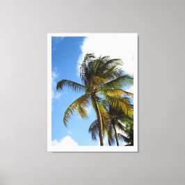 Palmboom canvasprint canvas afdruk