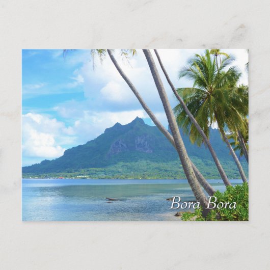 Palmboom en berg in Bora Bora Briefkaart (Voorkant)