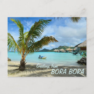 Palmboom en briefkaart voor tekst in overwaterreso