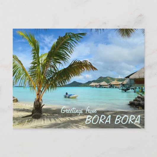 Palmboom en briefkaart voor tekst in overwaterreso (Voorkant)