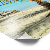 Palmboom en fotoafdrukken in overwater foto afdruk (Hoek)