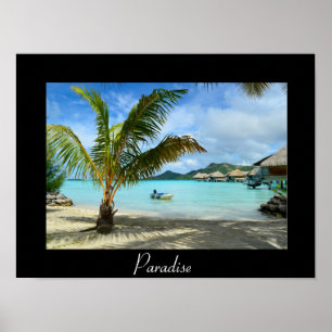 Palmboom en overwater resortposter met zwart poster