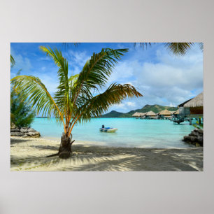 Palmboom en overwaterresortposter poster