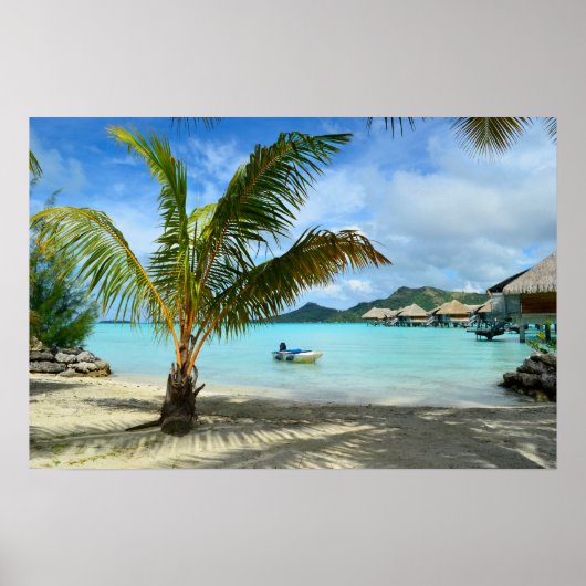 Palmboom en overwaterresortposter poster (Voorkant)