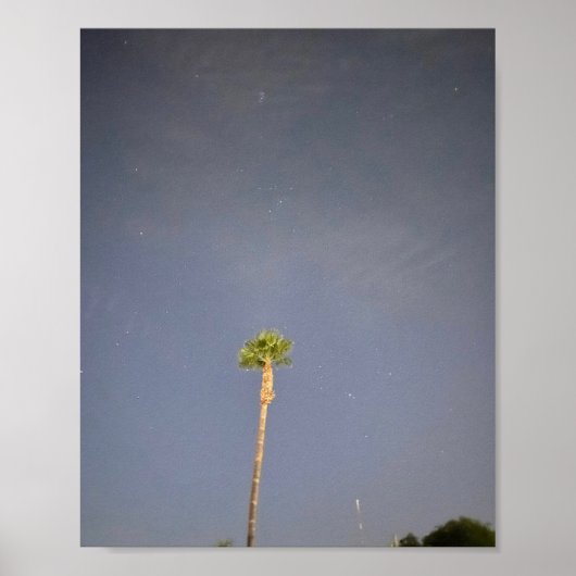 Palmboom en sterren ✨  poster (Voorkant)
