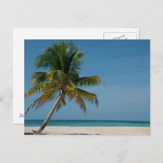 Palmboom en strand 2 briefkaart (Voorkant / Achterkant)