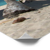 Palmboom en strand poster (Hoek)