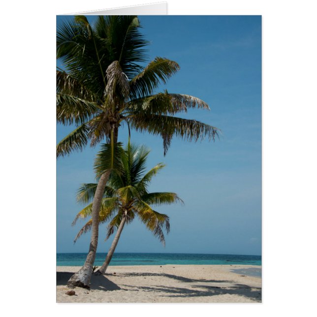 Palmboom en wit zandstrand (Voorkant)
