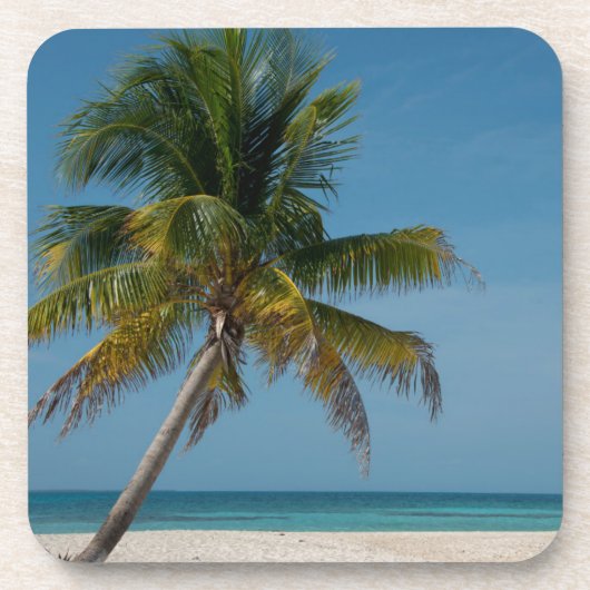 Palmboom en wit zandstrand 2 bier onderzetter (Voorkant)