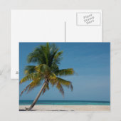 Palmboom en wit zandstrand 2 briefkaart (Voorkant / Achterkant)
