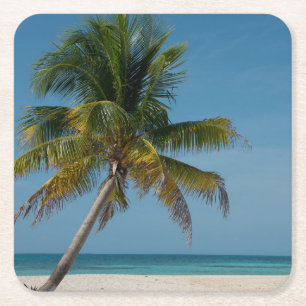 Palmboom en wit zandstrand  2 kartonnen onderzetters