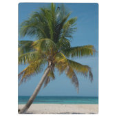 Palmboom en wit zandstrand 2 klembord (Achterkant)