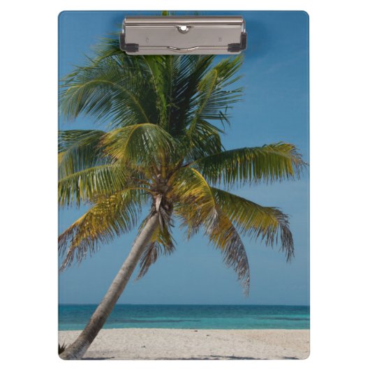 Palmboom en wit zandstrand 2 klembord (Voorkant)