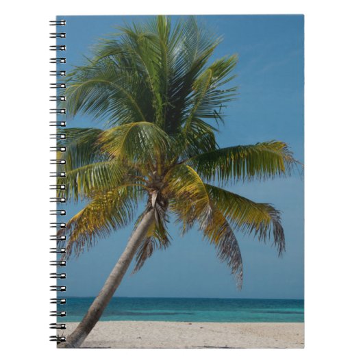 Palmboom en wit zandstrand  2 notitieboek (Voorkant)