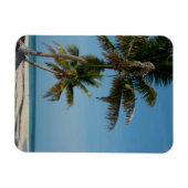 Palmboom en wit zandstrand magneet (Horizontaal)