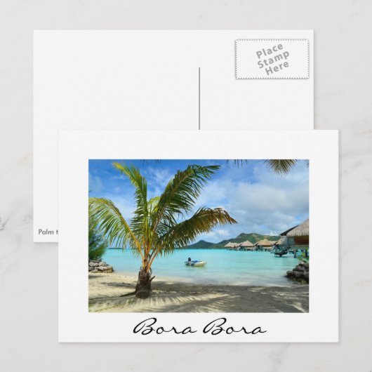 Palmboom en witte briefkaart voor overwaterresort (Voorkant / Achterkant)