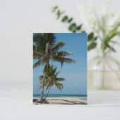 Palmboom en witzand briefkaart (Staand voorkant)