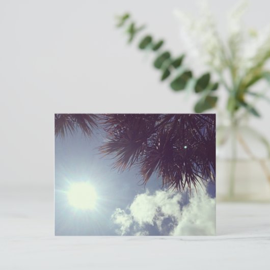 Palmboom en -zon briefkaart (Staand voorkant)