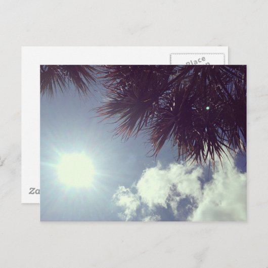 Palmboom en -zon briefkaart (Voorkant / Achterkant)