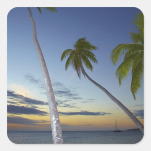 Palmboom en zonsondergang, Plantation Island Resor Vierkante Sticker