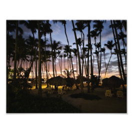 Palmboom en zonsondergang print foto afdruk