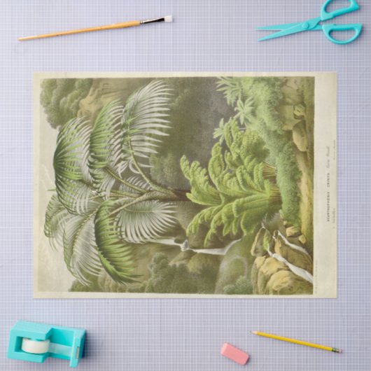 Palmboom Ephemera Decoupage Frans Tissuepapier (Craft)