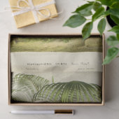 Palmboom Ephemera Decoupage Frans Tissuepapier (Geschenk)